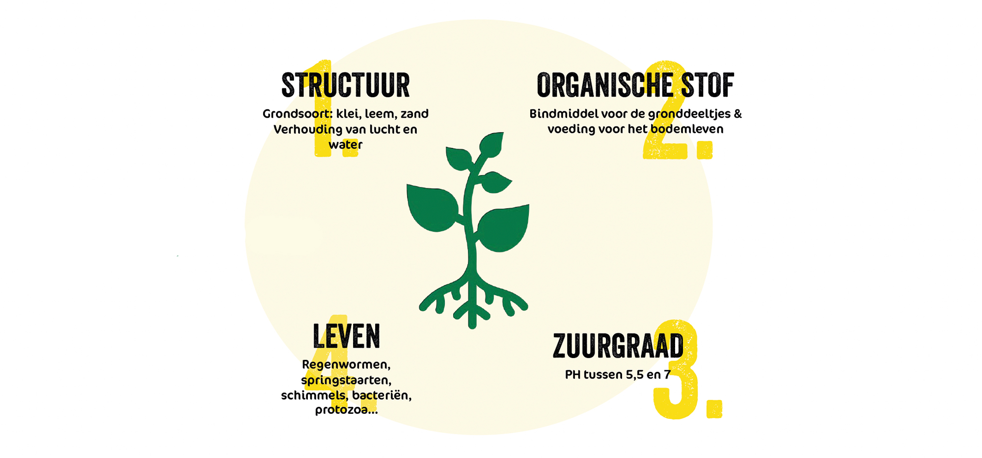 Een gezonde bodem in vier stappen